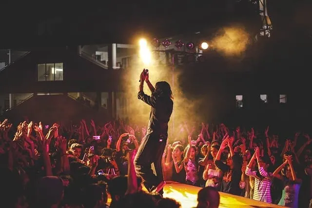 Live concert performance featuring an artist on stage with vibrant lighting and an energetic crowd, showcasing music industry