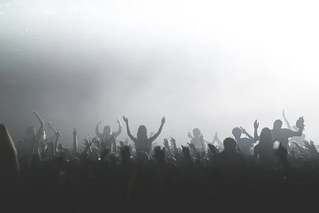 Crowd at a music concert dancing and raising hands in a lively atmosphere with bright stage lights in the background.