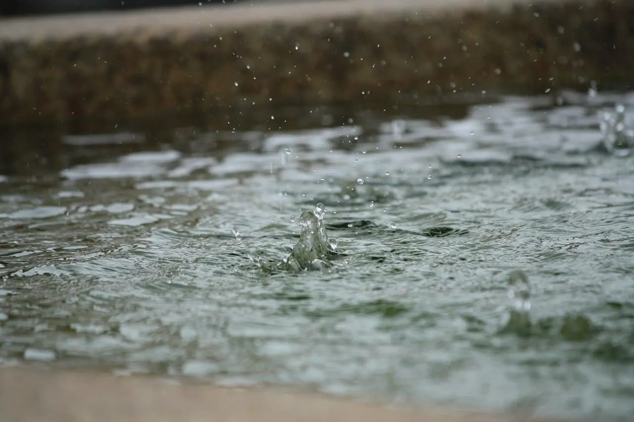 Droplets hitting the water surface, close-up of rain or splash on a lake or pond, natural outdoor scene, serene water ripples